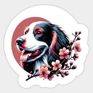 Sussex Spaniel Embraces Spring's Cherry Blossoms Sticker